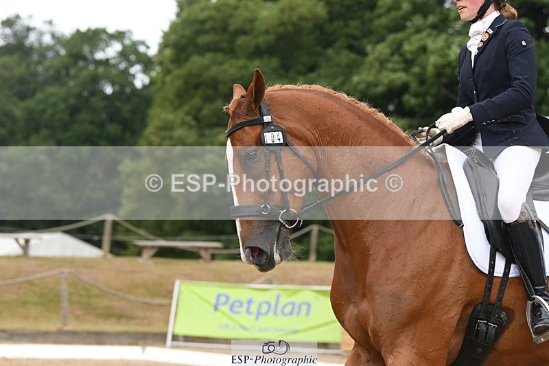 250720A-103609-09618 - 104-Molly.Northmore-Pennmoor.Liberation