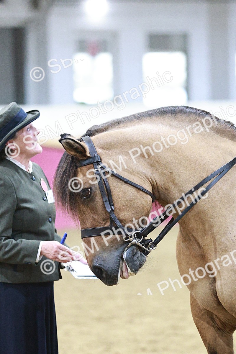 SBM_08100 - Class 11R - Regional Ridden Veteran