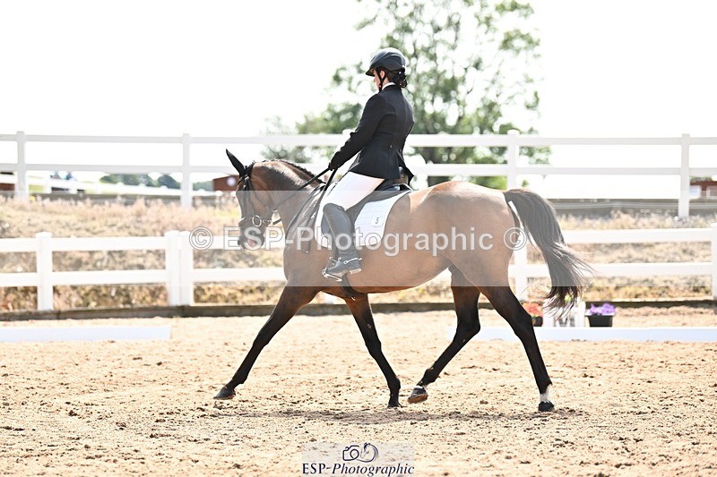 250815-131848-01419 - 005-Patricia.HaskinsGaelic.Surprise