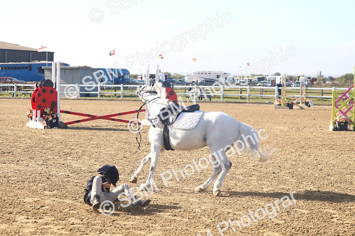 SBM_004706 - Class 2 - 40cm Champs