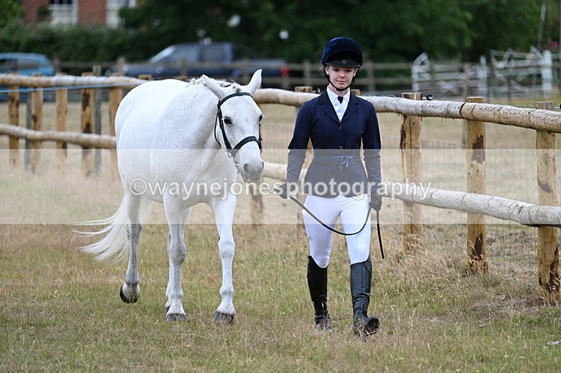 WJ7_9047 - Class 4a Prettiest Mare 14.2hh and over