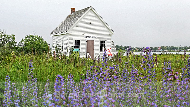 Deep Cove School (circa 1889) ~ Grand Manan, NB Canada - Grand Manan