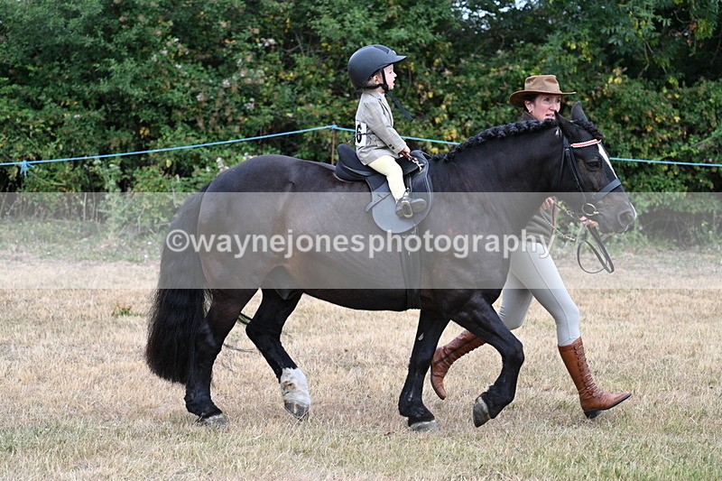 WJ7_9686 - Class 1 Lead Rein Pony