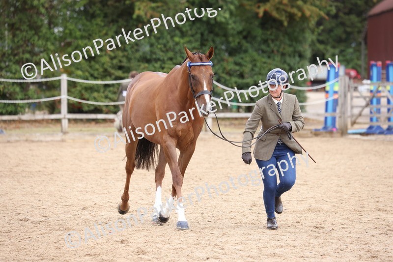 20260831-1968 - Class 5 - Retraining of Racehorses