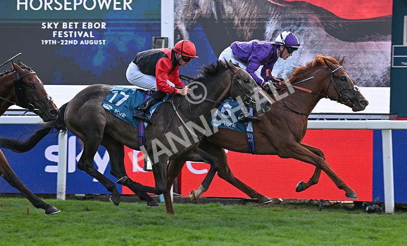 190826-265 Henley On Thames - Race 7 17.20pm Sky Bet Nursery Handicap