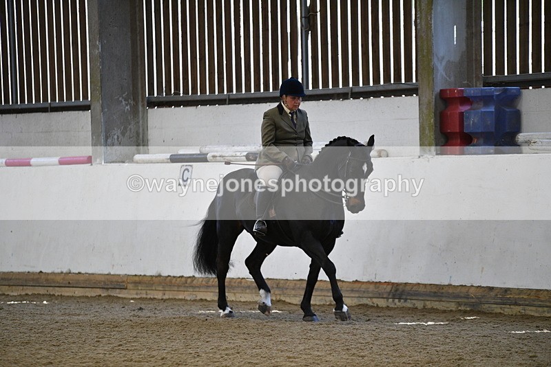 WJ5_5913 - Class 9 Ridden Veteran