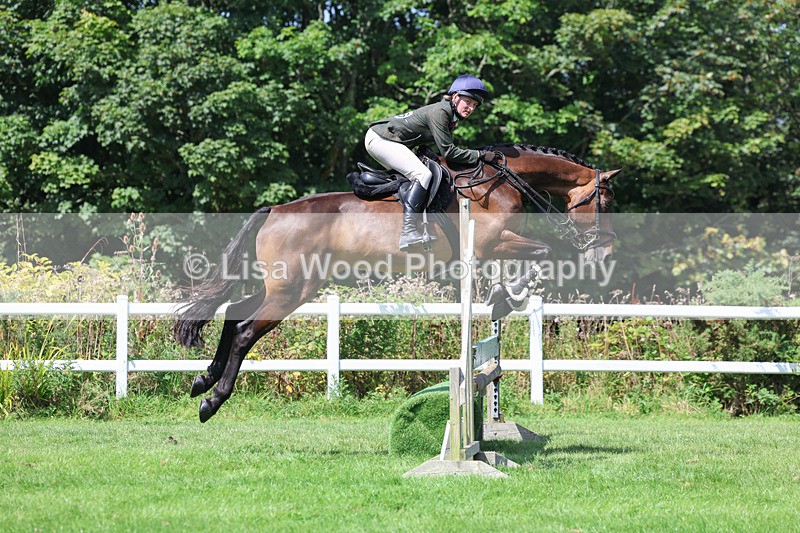 3E7A8911 - Class 6: Open Working Horse