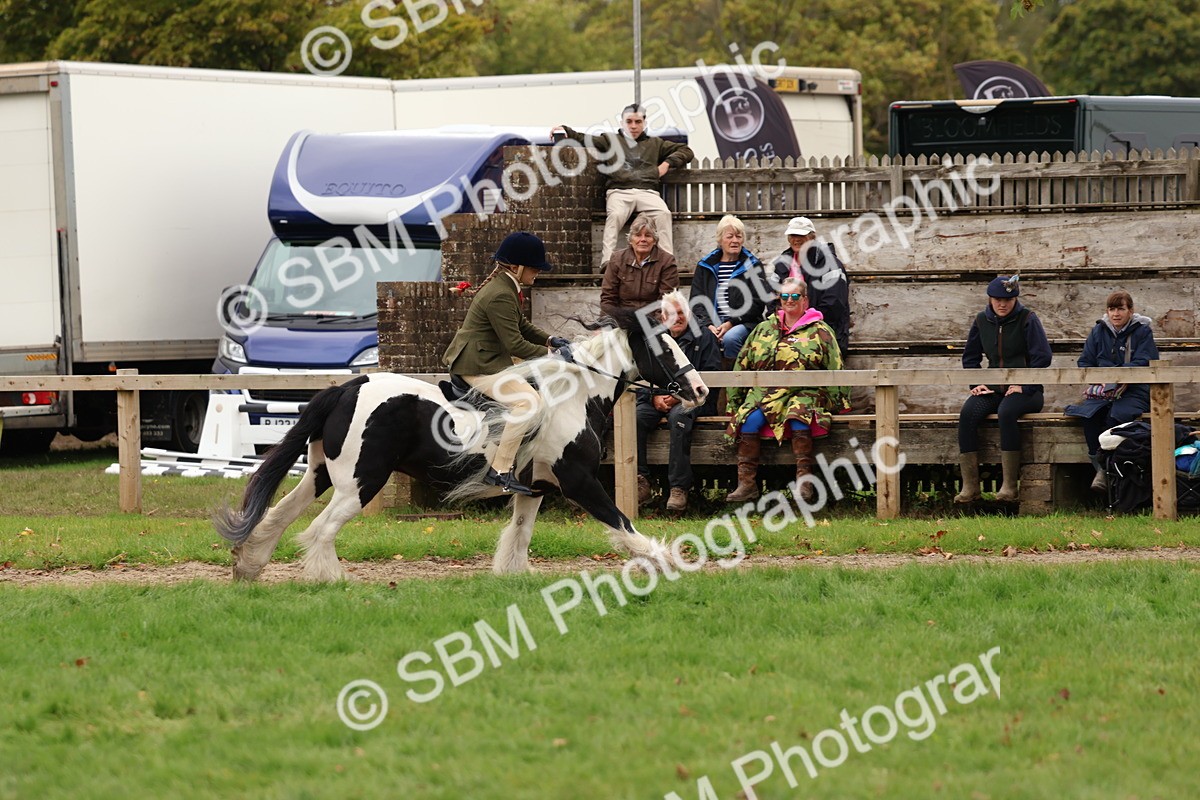 SBM_64522 - S58 - Coloured Pony Ridden