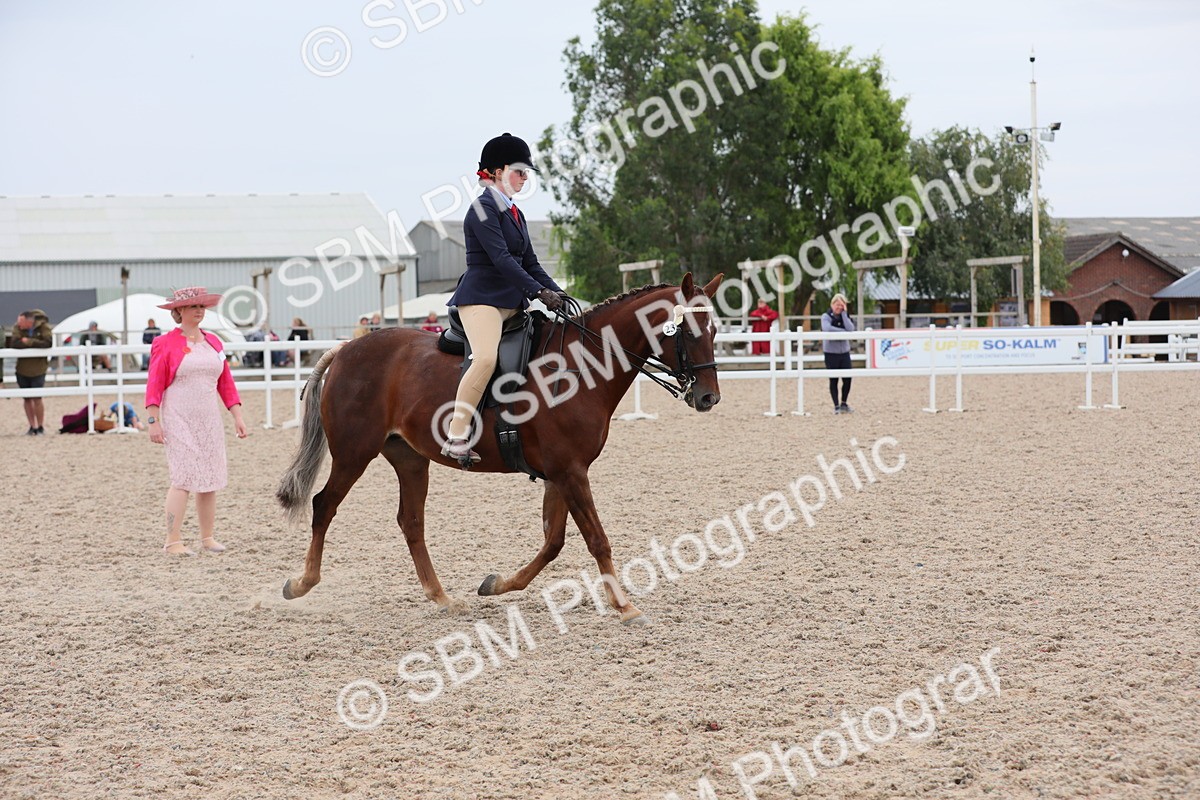 SBM_18108 - Class 316 Best Pony/Rider Combination