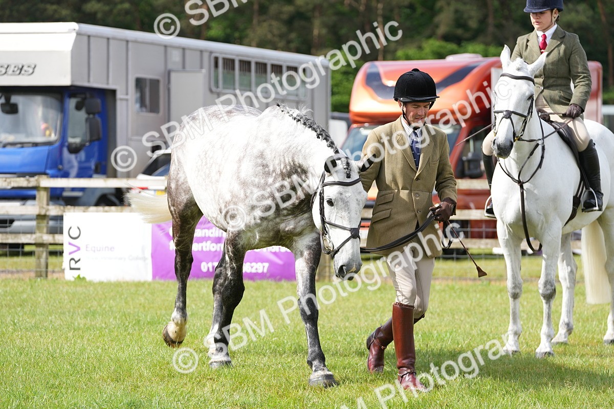 SBM_12763 - Class 97-98 - LIHS BSHA Rising Star Working Show Horse Hunter