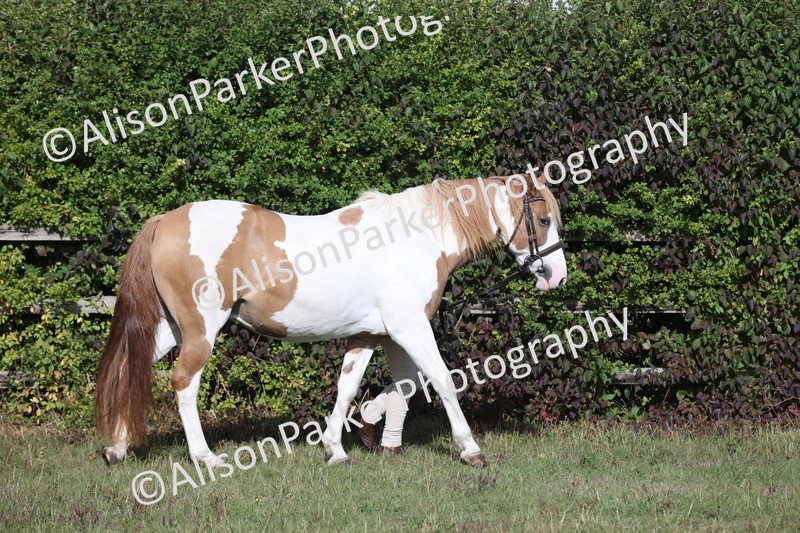 20250831-1299 - Class 21 - Inhand Open