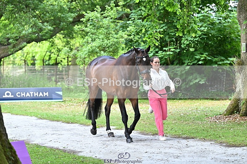 250521A-143725-00124 - A-011-Milly.Assheton-ILEXA