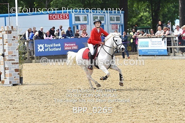 BPP_0265 - RHS 2019 Selection - *Just some random spectator shots so Lucky Dip if you are there!