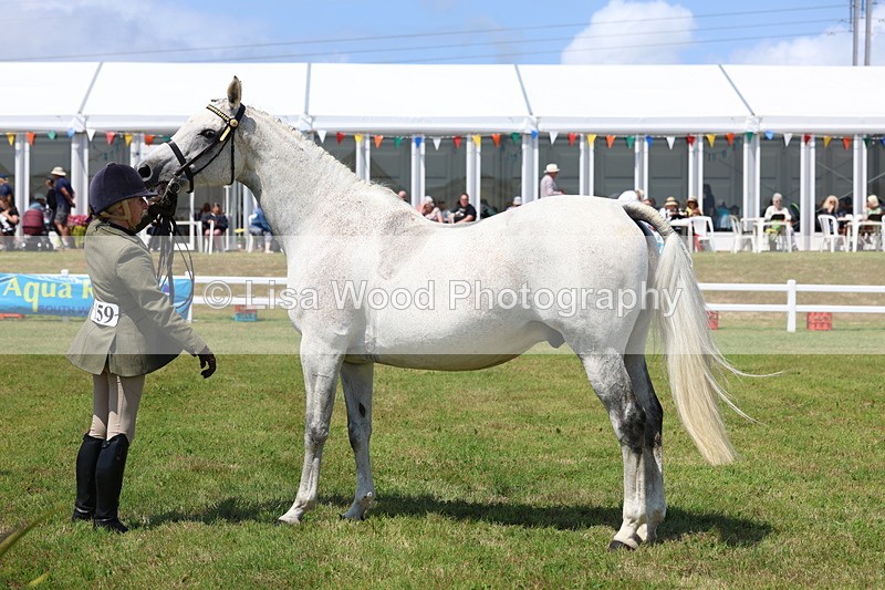 3E7A1188 - Class 8: Open Riding Horse/Hack