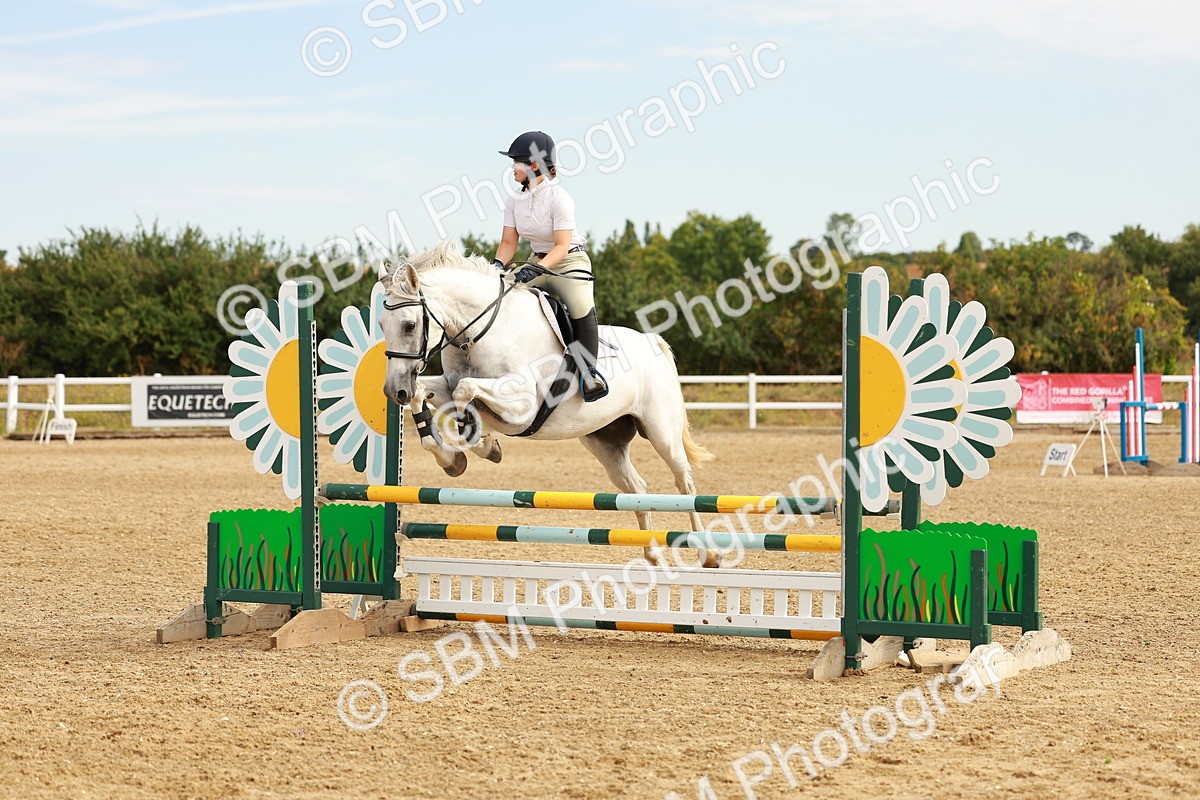 SBM_002344 - Class 9 - Senior British Novice - 90cm