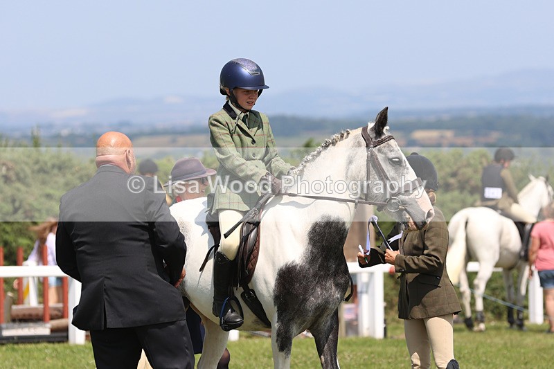 JPP_3189 - Class 22: Working Hunter 70cm