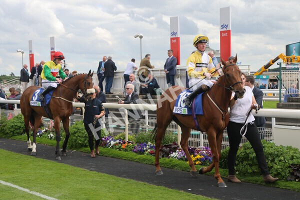 yr11062022r8-10 - Race 8 5.25pm Clean up with PPS Stakes