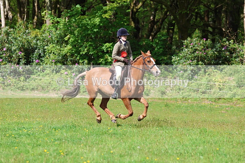 3E7A2680 - Working Hunter Championship