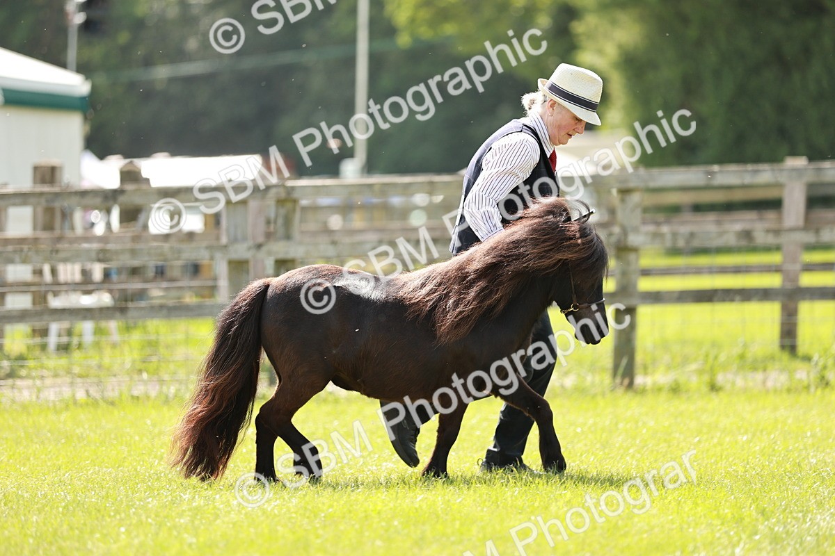 SBM_01875 - Class 14-23 - Mountain & Moorland In Hand Non Welsh