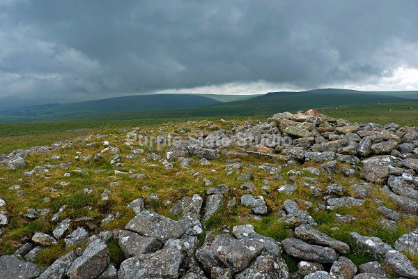 Western Beacon, Dartmoor - Landscapes & Seascapes