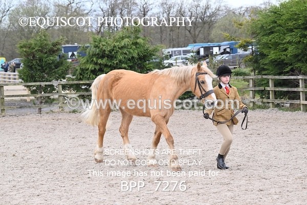 BPP_7276 - RING 1  (RIDDEN HORSES / IN HAND / VETERAN ETC)