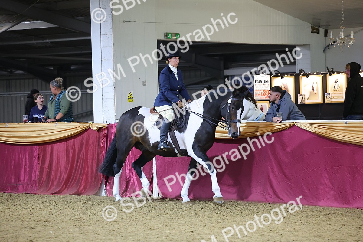 0B8A4456 - Class O Ridden Show Horse Champ