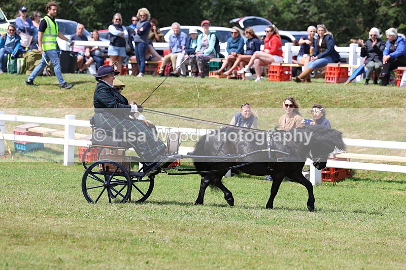 3E7A2674 - Class 12: Open Driving