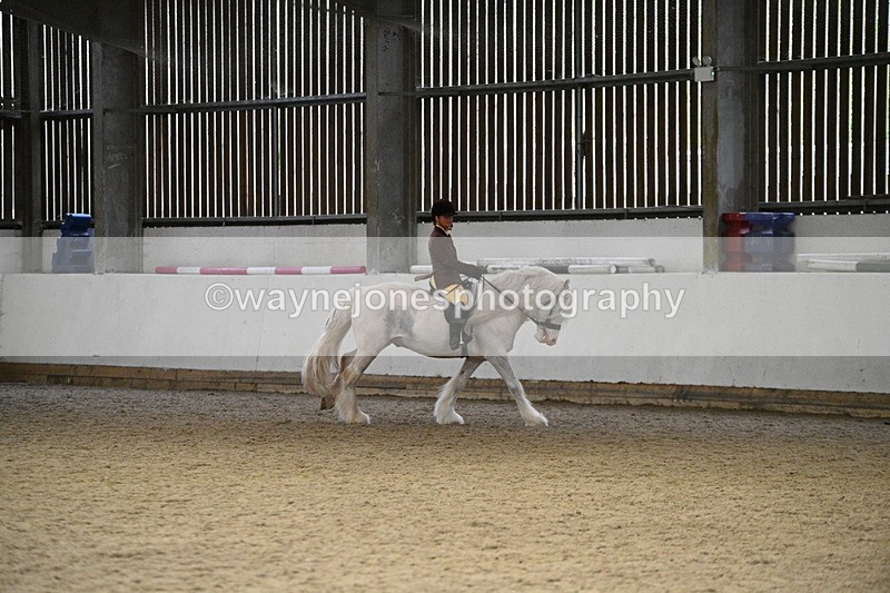 WJ7_3752 - Class 16 Ridden Coloured/ Odd Coloured