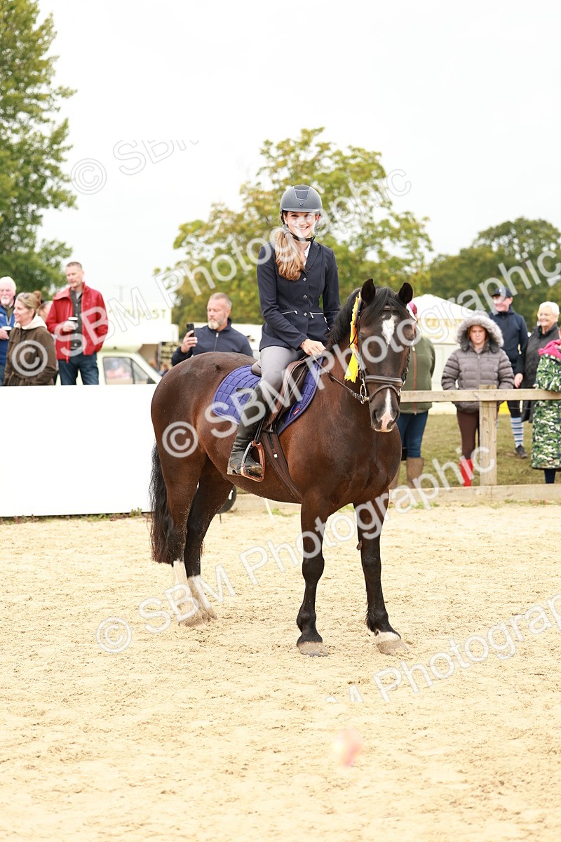 SBM_58089 - J11 - Junior Pony 50cm Championship