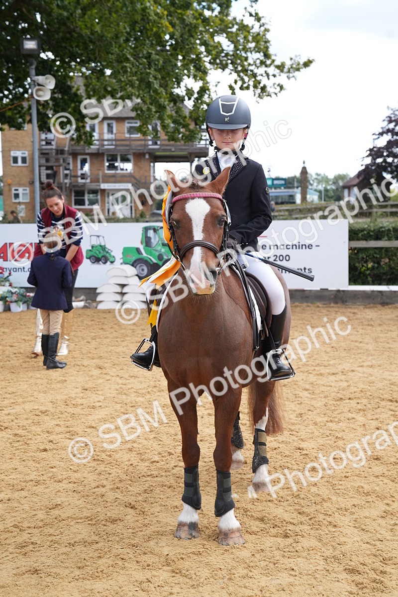 SBM_64548 - J2 - Mini Tour Junior Pony 30cm Championship