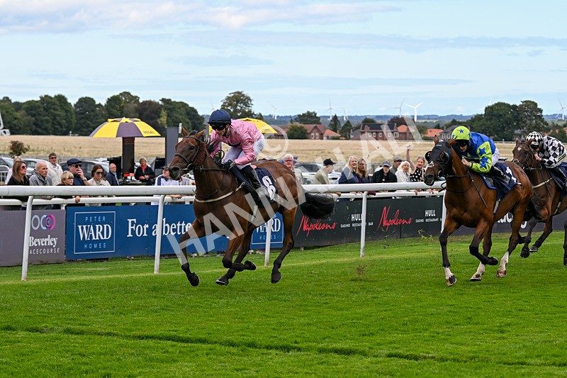 160926-Race 1-Austrian Theory-9164 - Race 1 2.08pm Season Finale Is Next Tuesday Selling Handicap