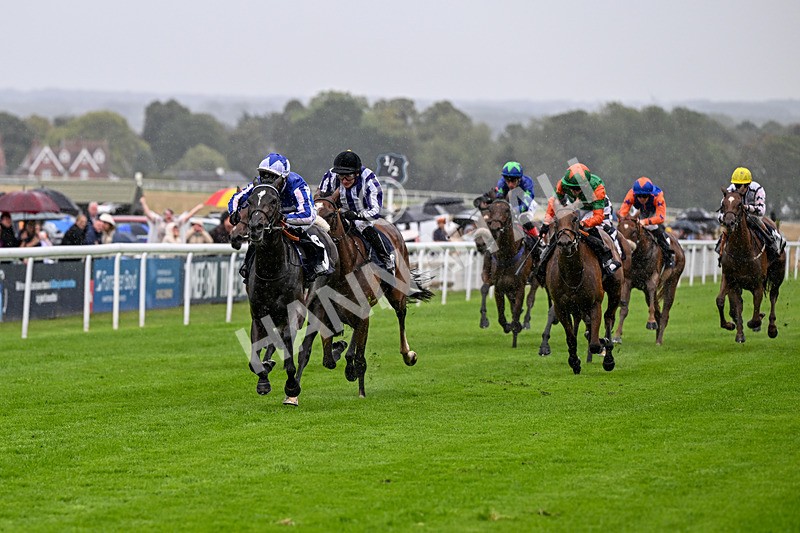 290826-Race 4-Necromancer-6928 - Race 4 3.35pm Ire-Incentive, It Pays To Buy Irish EBF Restricted Maiden Fillies' Stakes