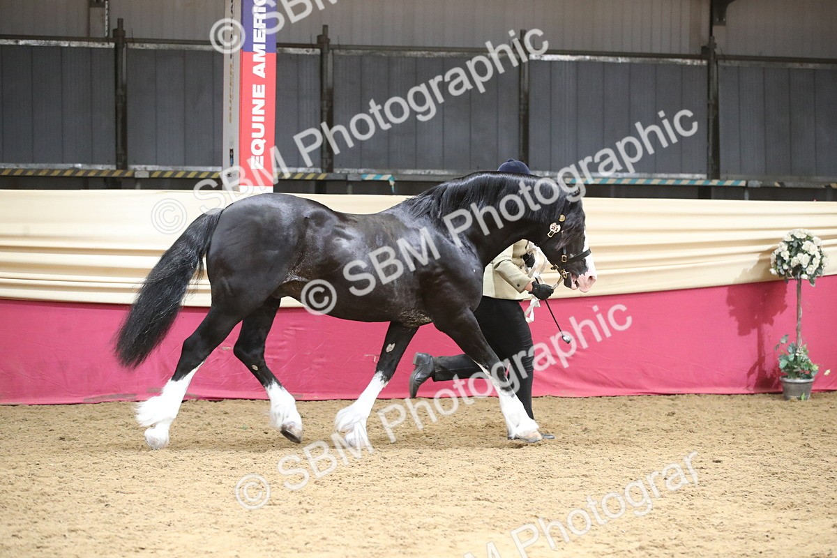 SBM_05274 - Class 8R - Regional IH Veteran
