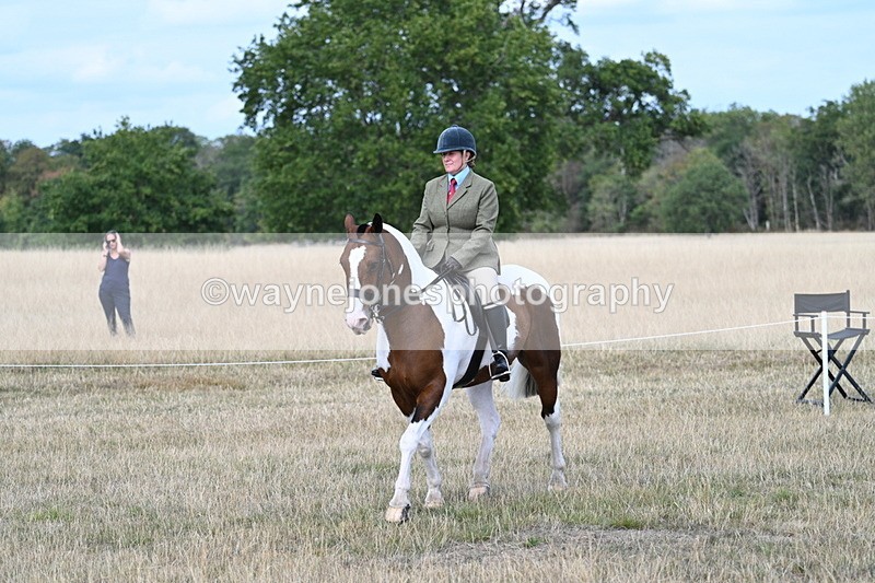 WJ7_7179 - Class 14 Ridden Coloured