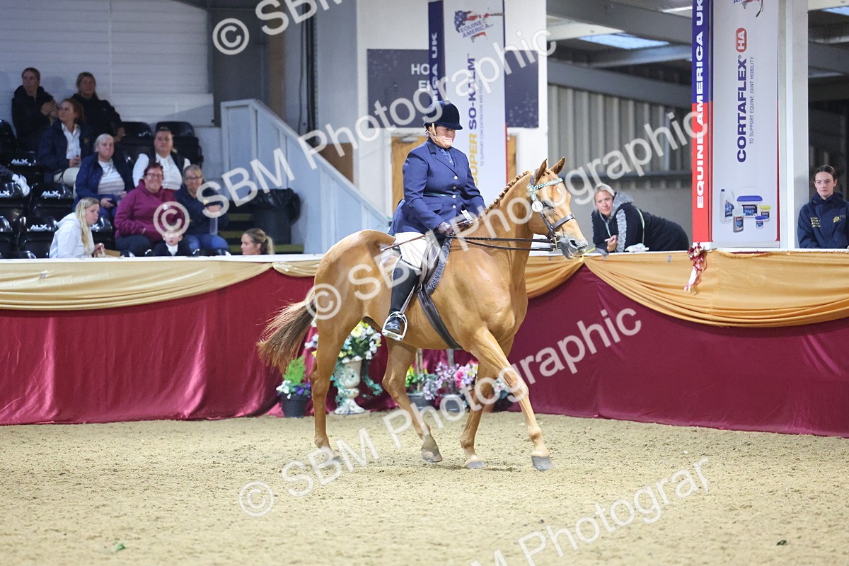 0B8A4278 - Class 108Ridden Retired Racehorse- Final Judging
