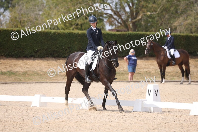 20260816-1077 - Class 4 - Novice 6