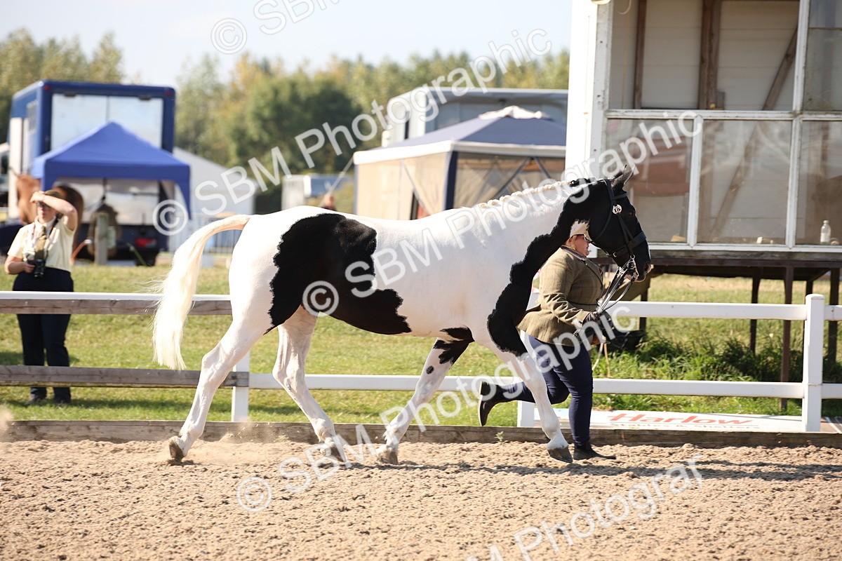 SBM_01442 - Class 15 IH Coloured