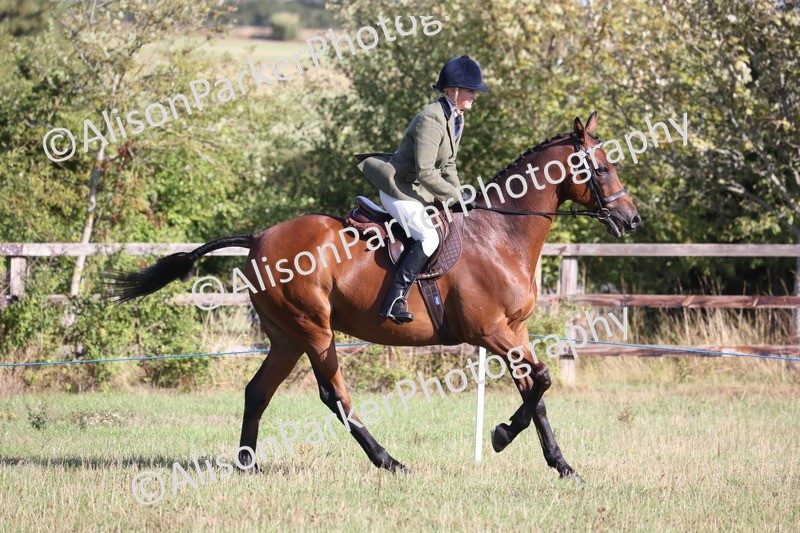 20260906-0364 - Class 14 - Ex Racehorse