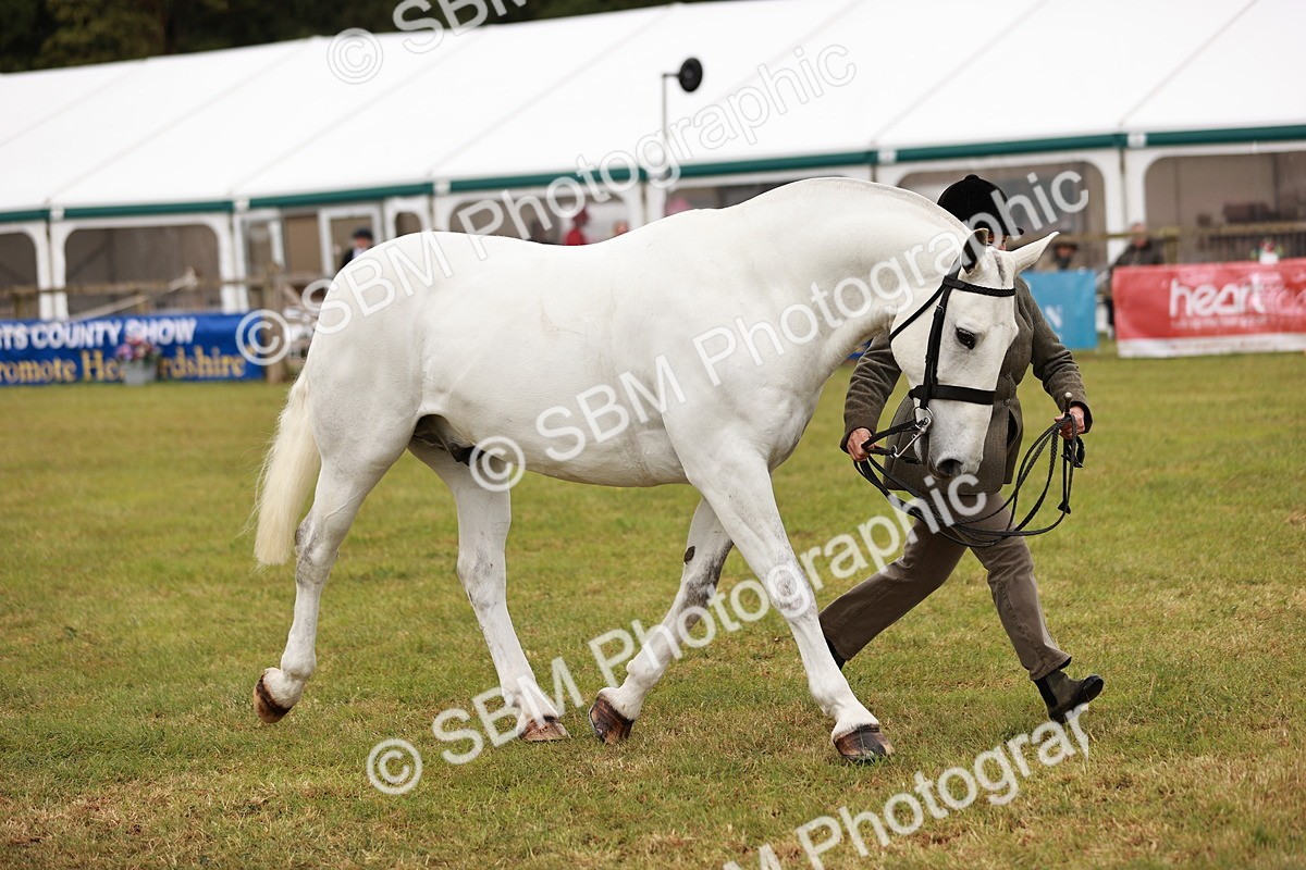 SBM_13048 - Class 85-87 - RIHS Cobs