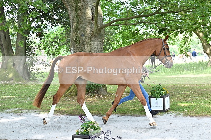 250521A-151922-00423 - B-307-Rosalind.Canter-SILVESTERS.FINESSE
