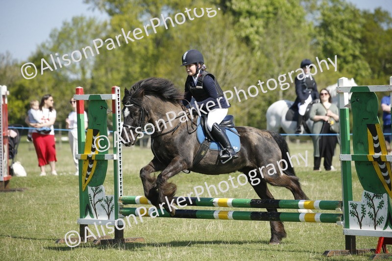 20250427-2020 - Class 13 - Novice Jumping 60cm