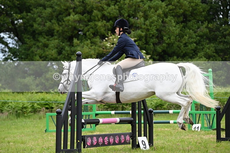 WJ6_5619 - Class 5 pairs 70cm