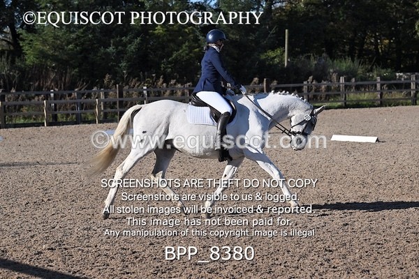 BPP_8380 - LONG ARENA
