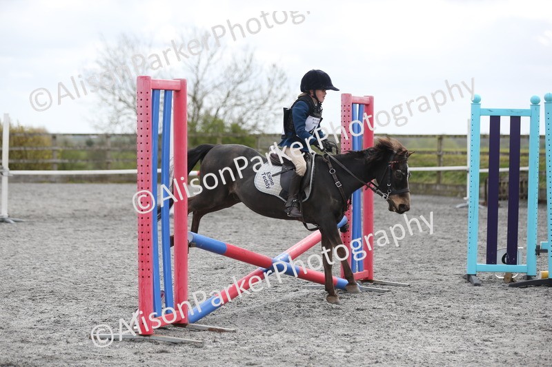 20260412-0572 - Show Jumping