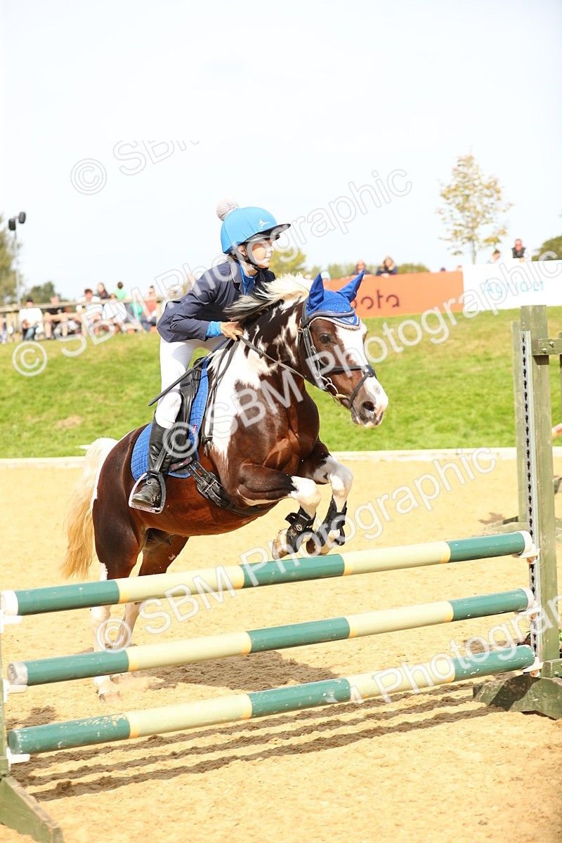 SBM_66238 - J17 - Junior Pony 80cm Championship