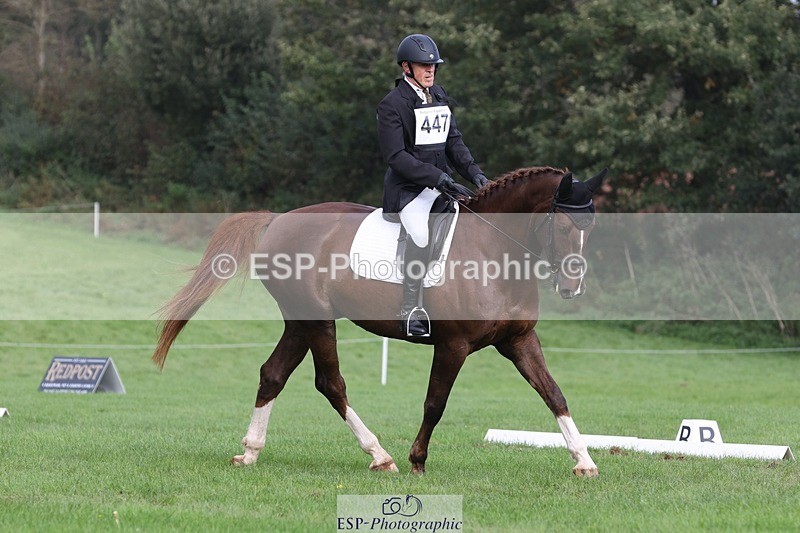 231019-143720-04034 - 447-STALLONE-Andrew.Winterton-DR