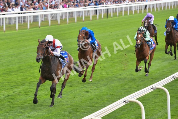 yr17082022r3-34 - Race 3 3.00pm Sky Bet Great Voltigeur Stakes