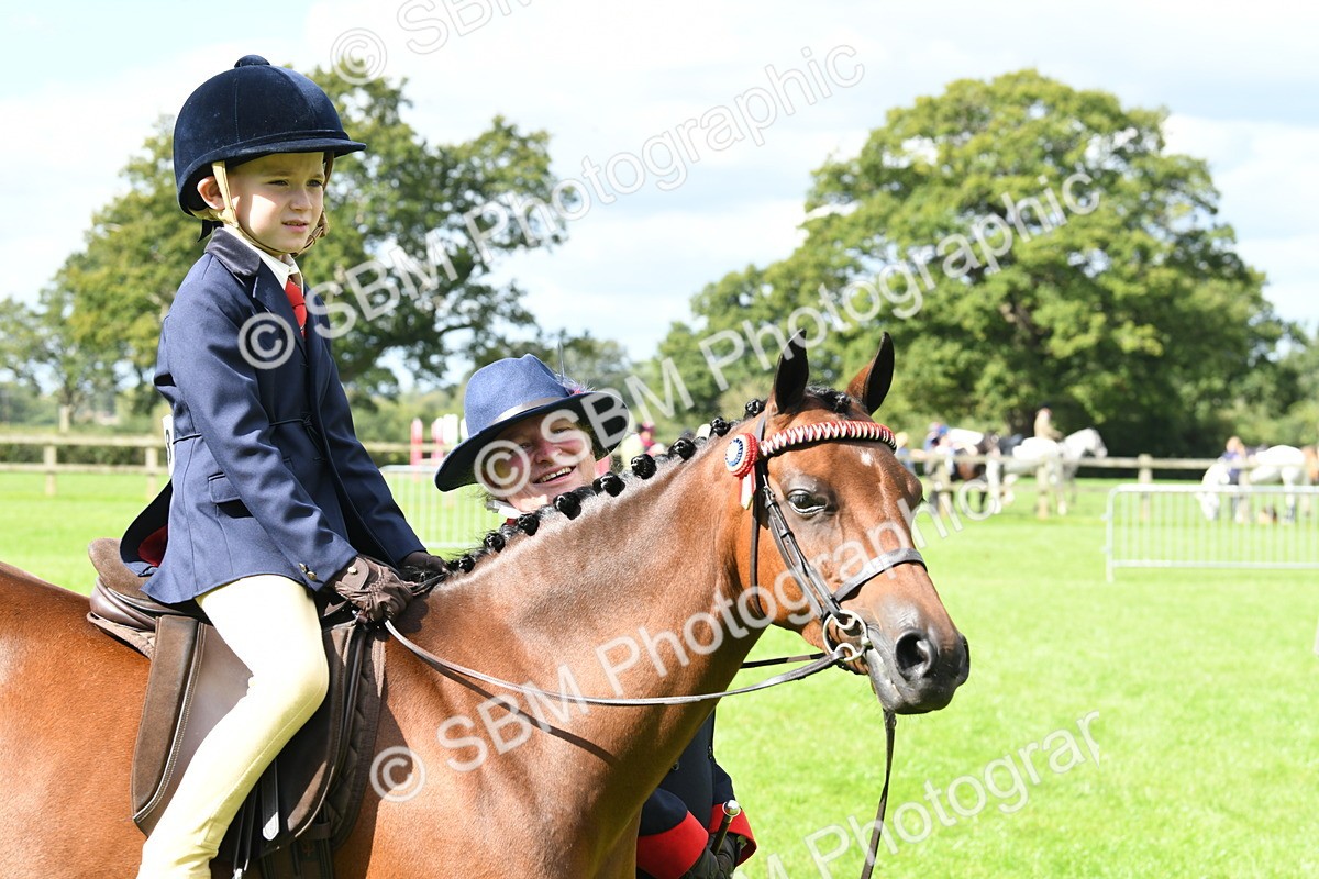SBM_41232 - S19 - Lead Rein Show & Show Hunter Pony