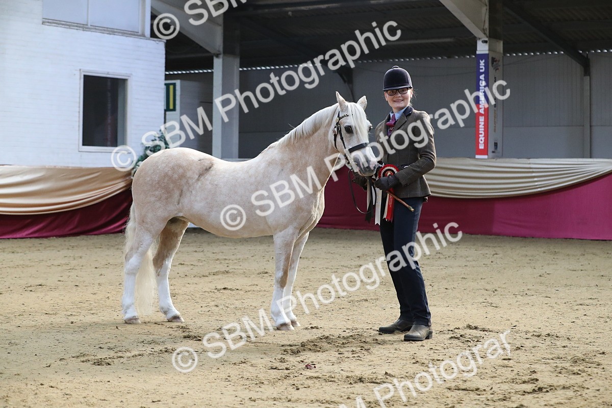 SBM_00316 - Class 1a - Area IH Diamond