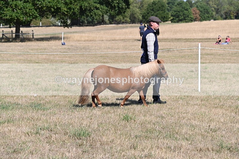 WJ6_4414 - Class 17 Mountain & Moorland